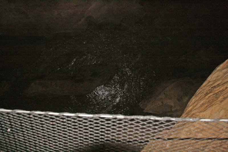 Nieuw-Zeeland 2011 - 0542